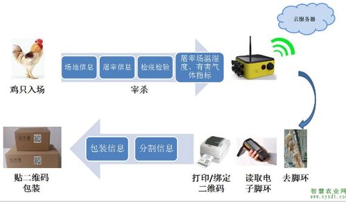 农产品追溯 肉鸡身份追溯系统解决方案